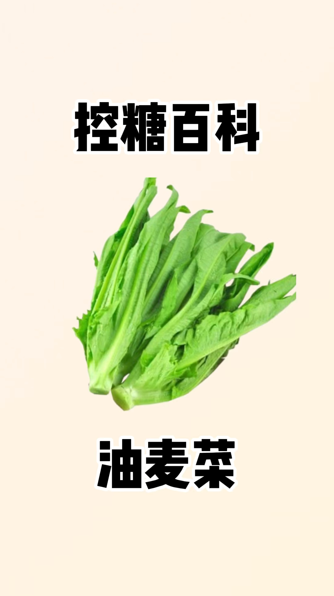 油麦菜你喜欢吃吗?