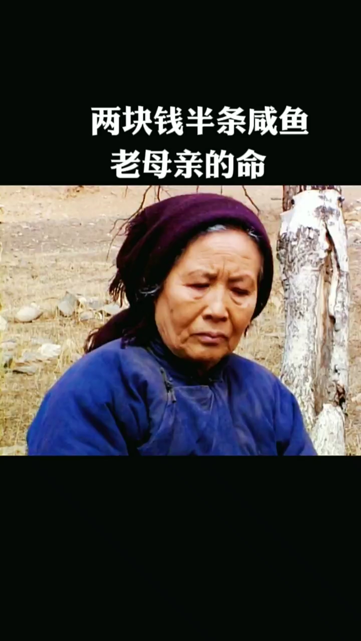 两块钱半条咸鱼老母亲的命