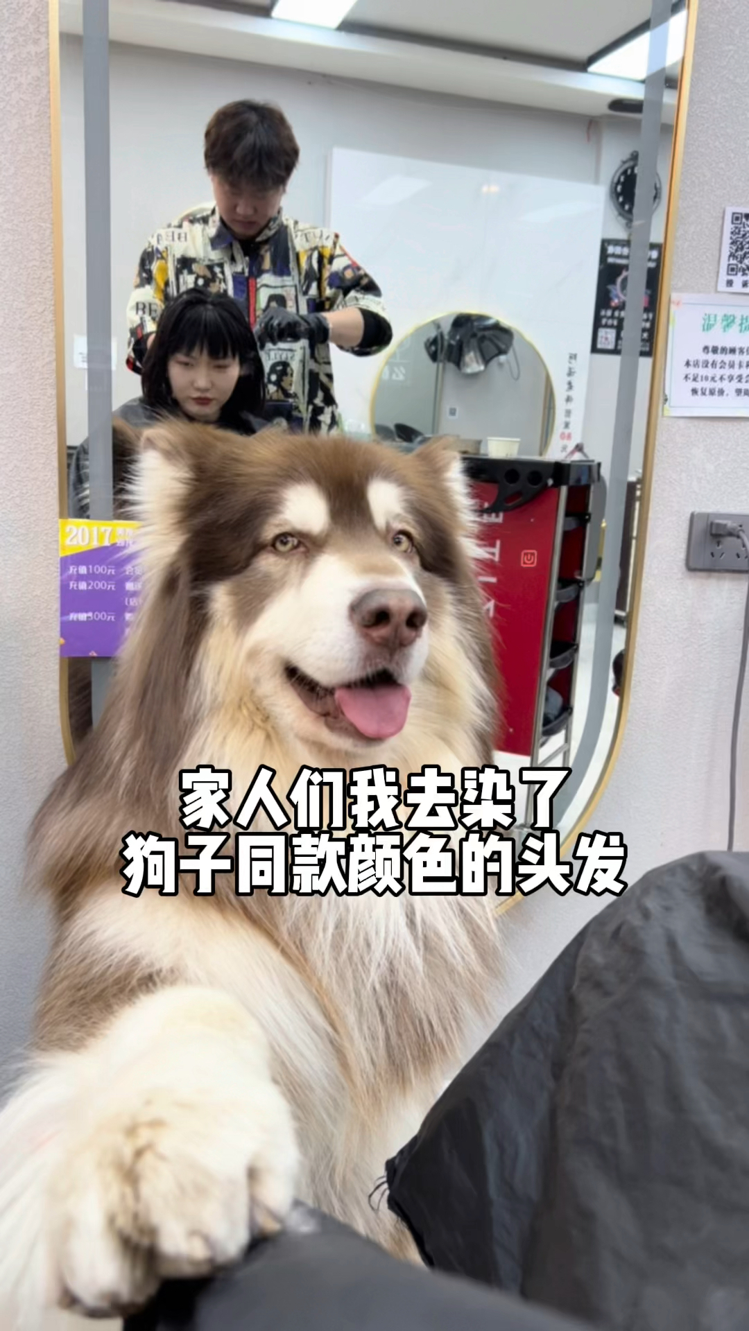 #破壳计划#当我染了和狗子同款颜色的头发