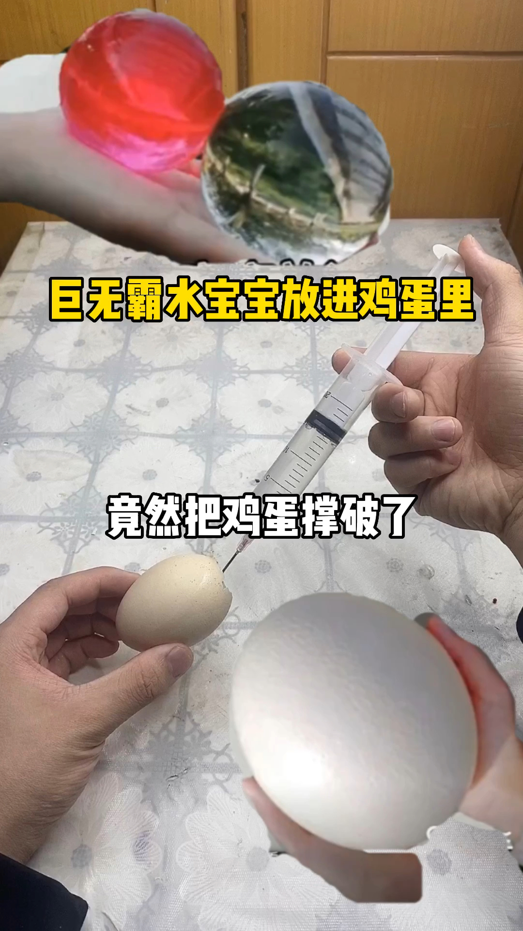 #破壳计划#巨无霸水宝宝放鸡蛋里能把蛋撑破