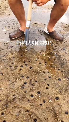 怎样提小龙虾