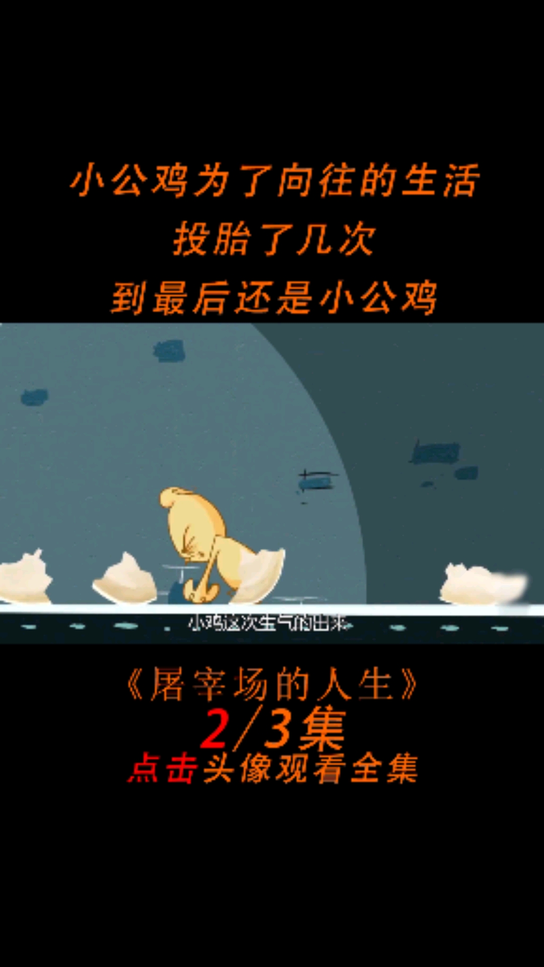 小鸡为了向往的生活,投胎了几次,到最后也没能改变命运