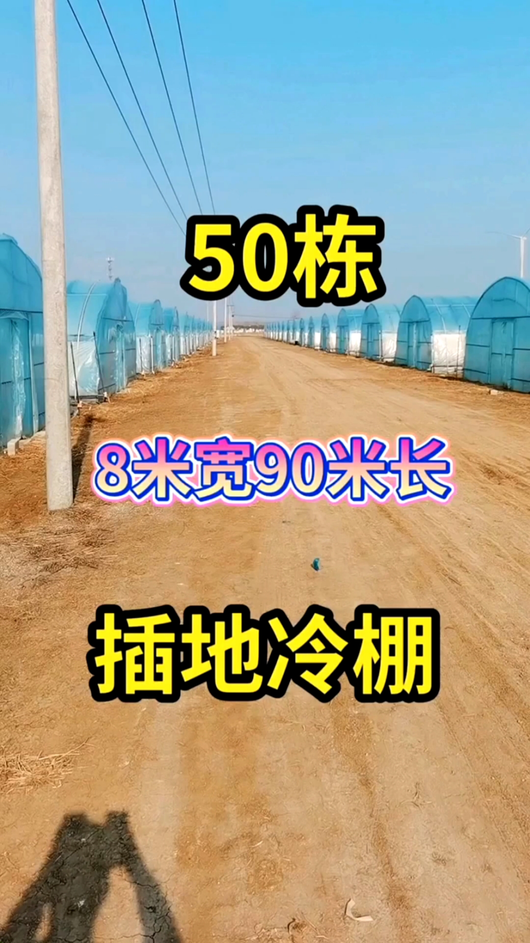 #蔬菜大棚#8米宽90米长简易蔬菜种植大棚。