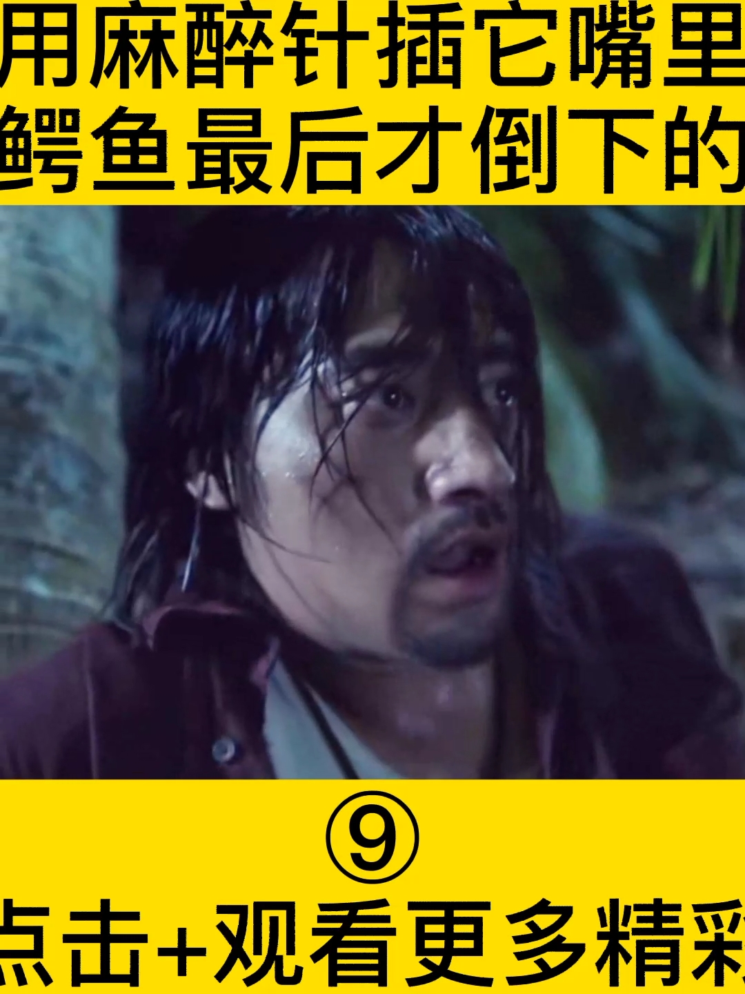 #好看电影#鳄鱼最后还是给麻醉针麻醉了