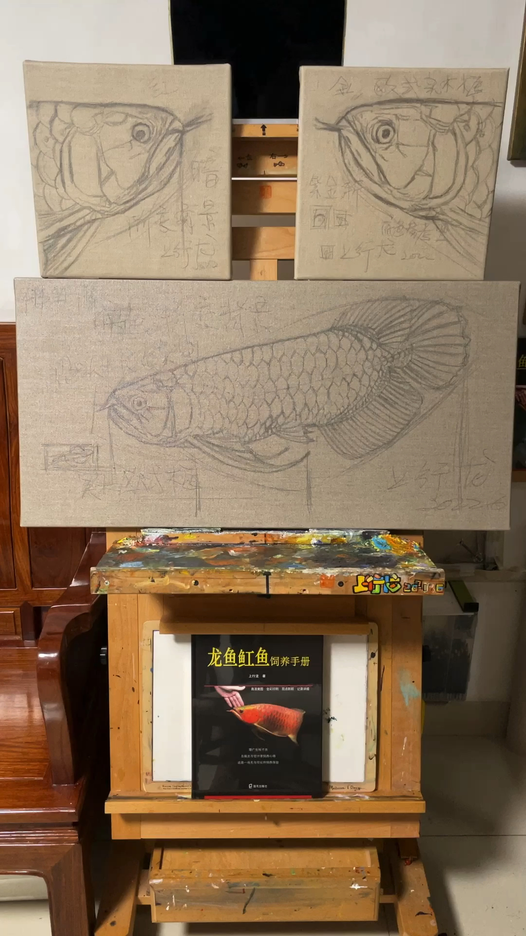 #金龙鱼#疫情居家画龙鱼,加油!