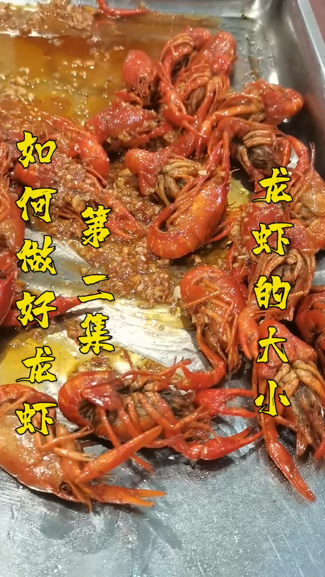 #小龙虾#龙虾都有什么规格,大小怎么区分