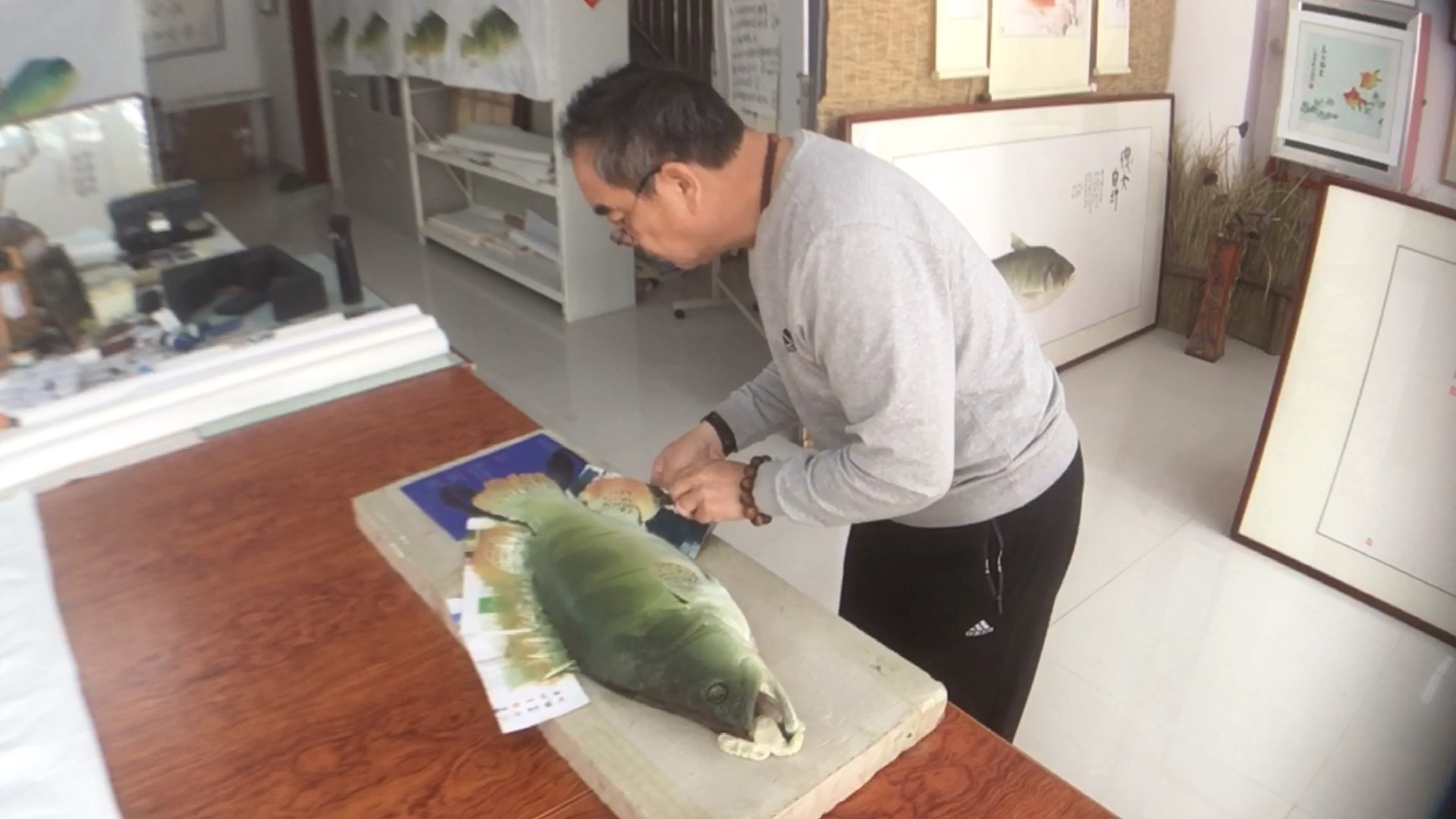 朋友钓获的十四斤野生大桂鱼
