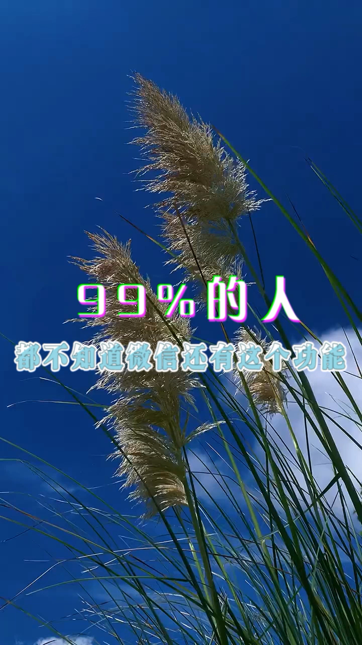 手机可爱好看的壁纸