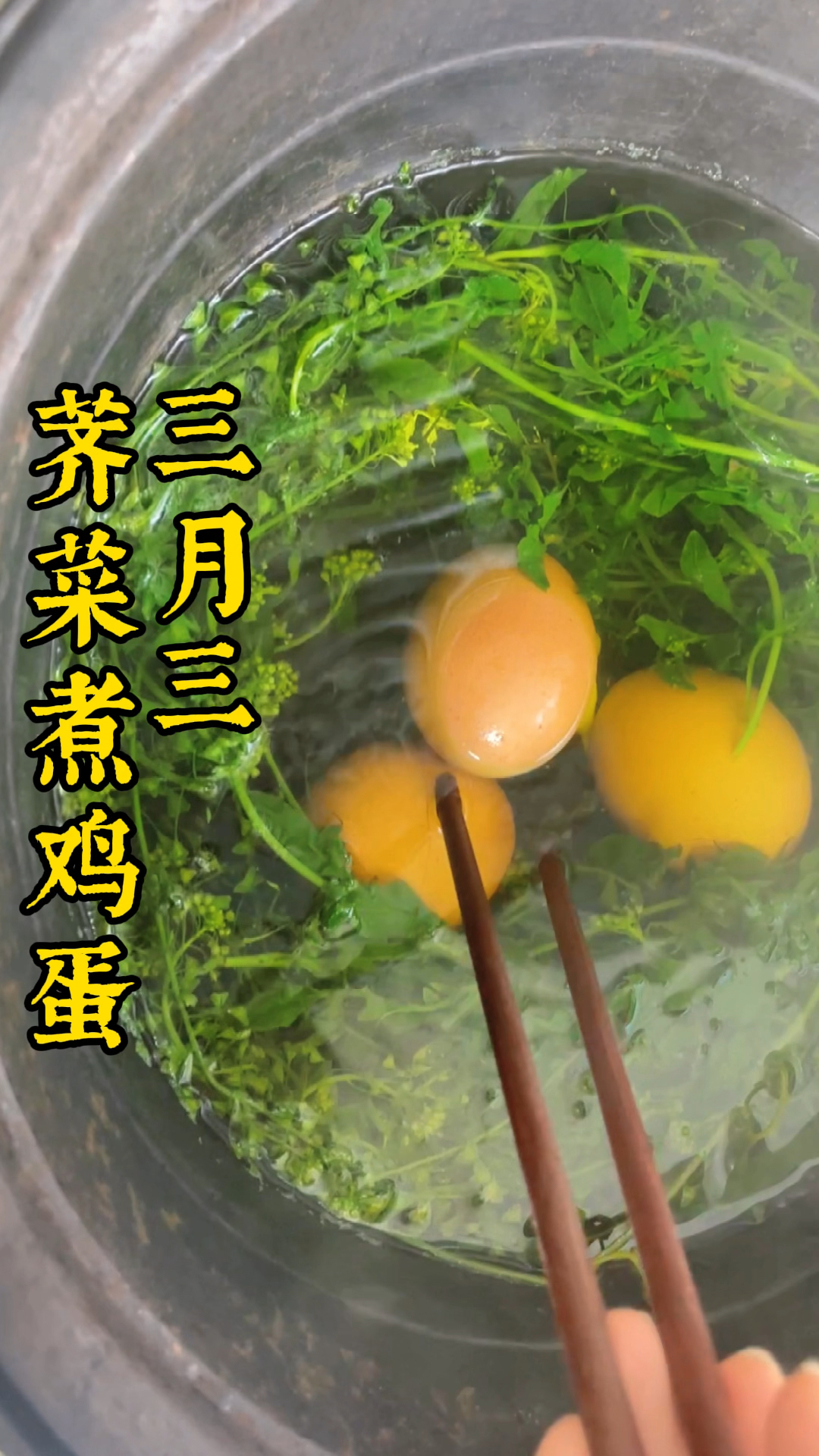 #记录我的农村生活#农村老话“三月三荠菜花煮鸡蛋赛下神仙丹”不知道大家吃过没有?竟然还有很