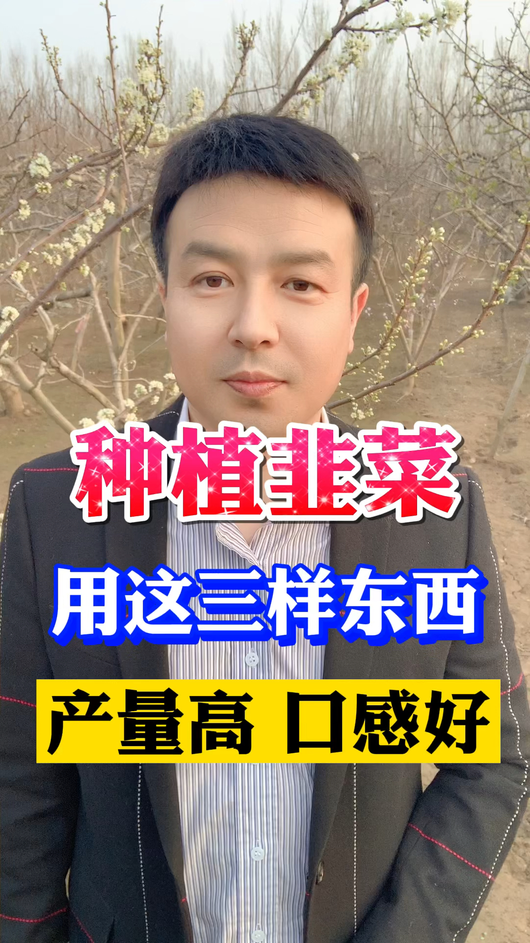 #现代农业科技#种植韭菜用这三样东西产量高口感好