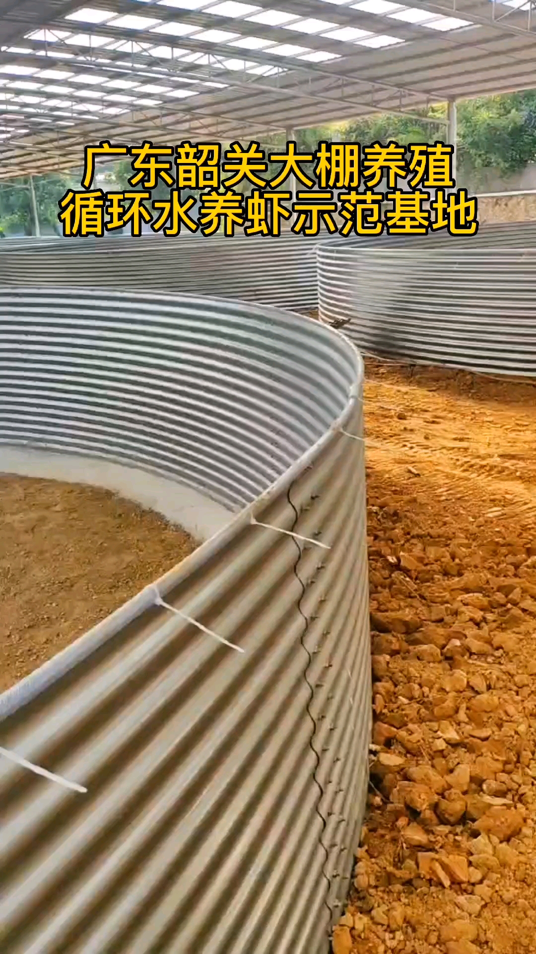 #养虾#韶关养虾示范基地!