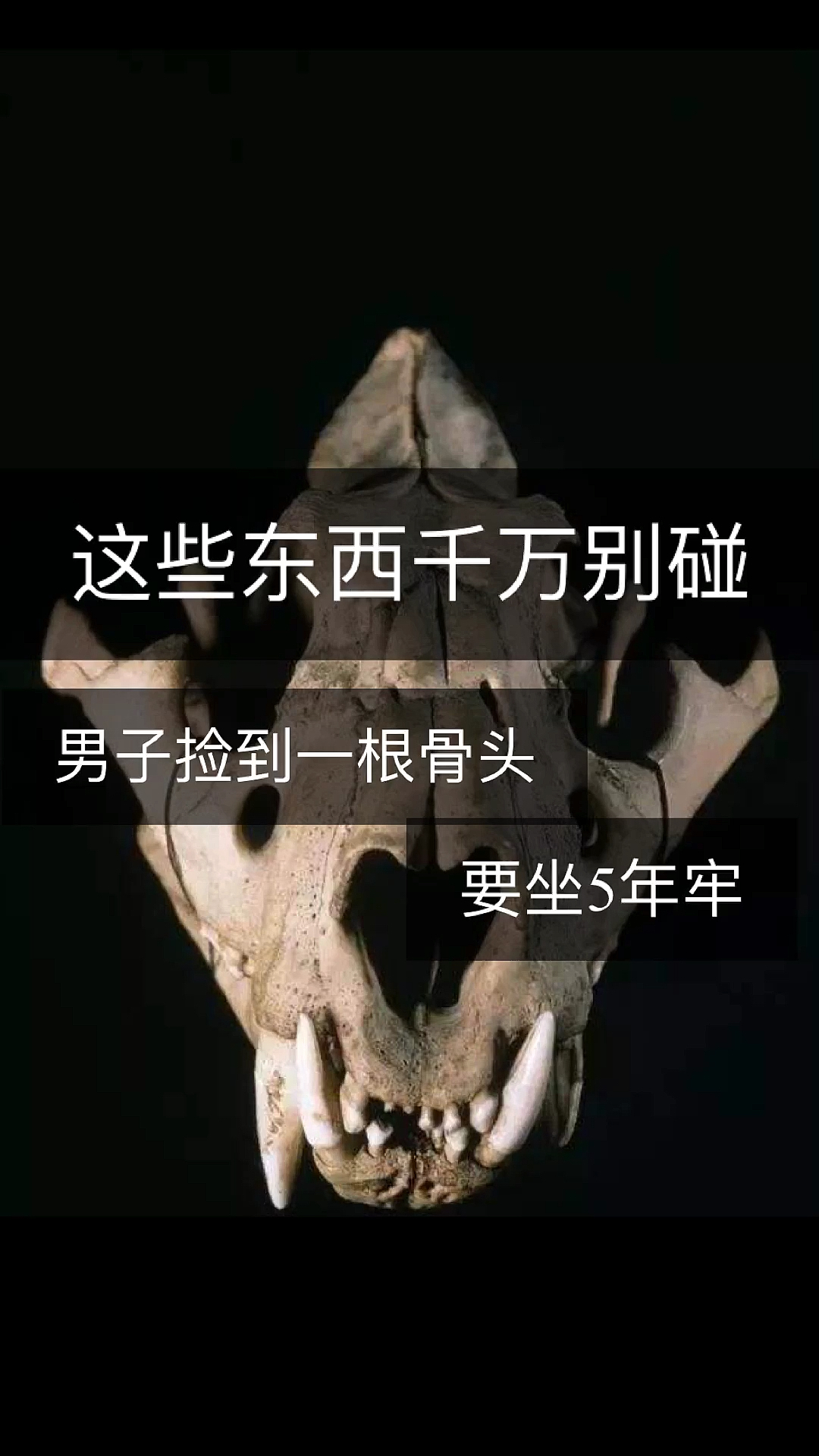 #文玩核桃#这些是文玩行业里的禁忌,千万别去碰