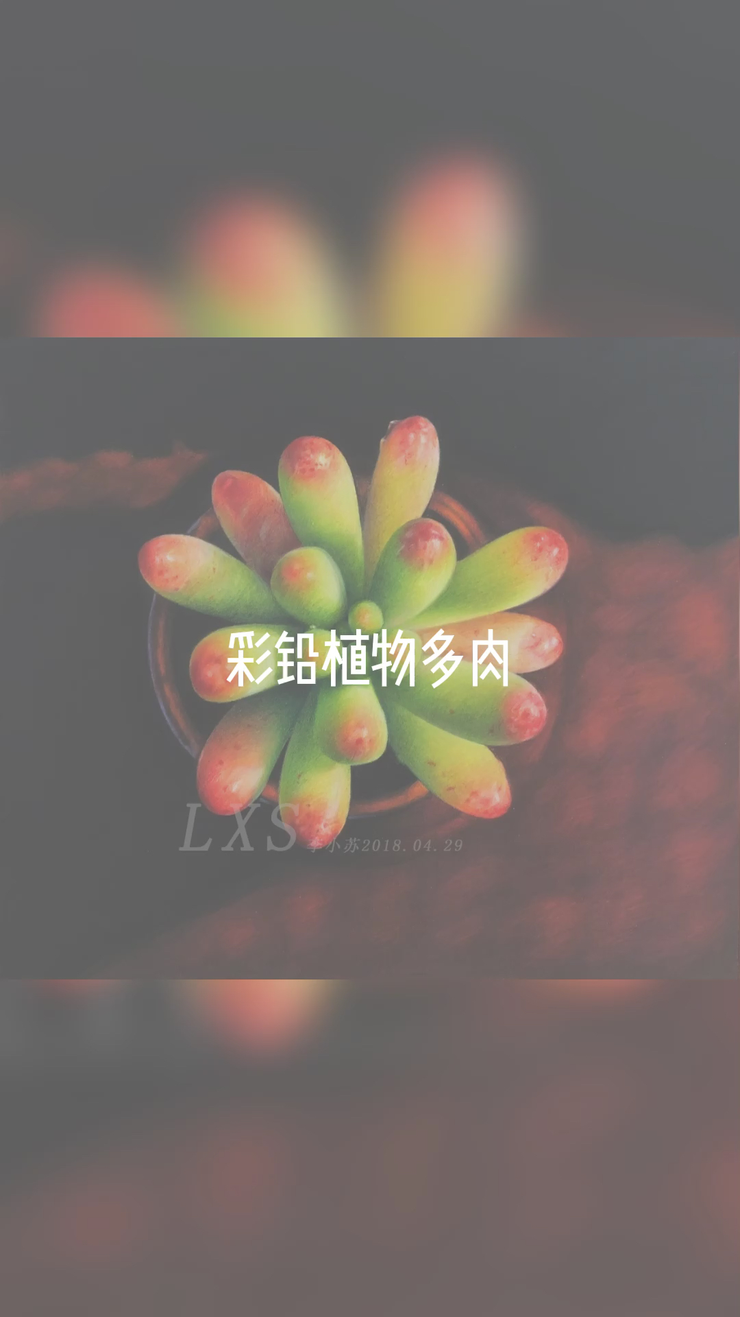 #彩铅画#彩铅植物多肉