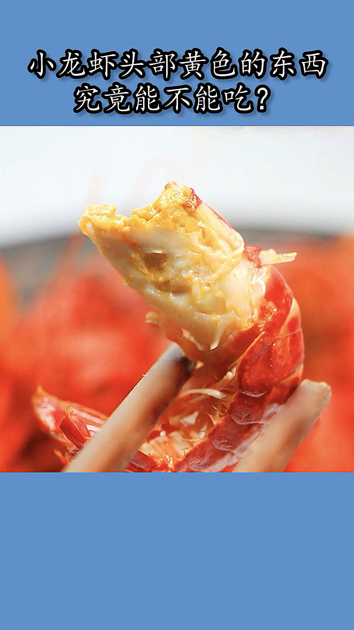 #每天一点冷知识#小龙虾头部黄色的东西,到底能不能吃?