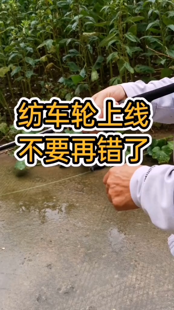 #路亚#纺车轮上线方法,这样上才靠谱,不要再搞错了