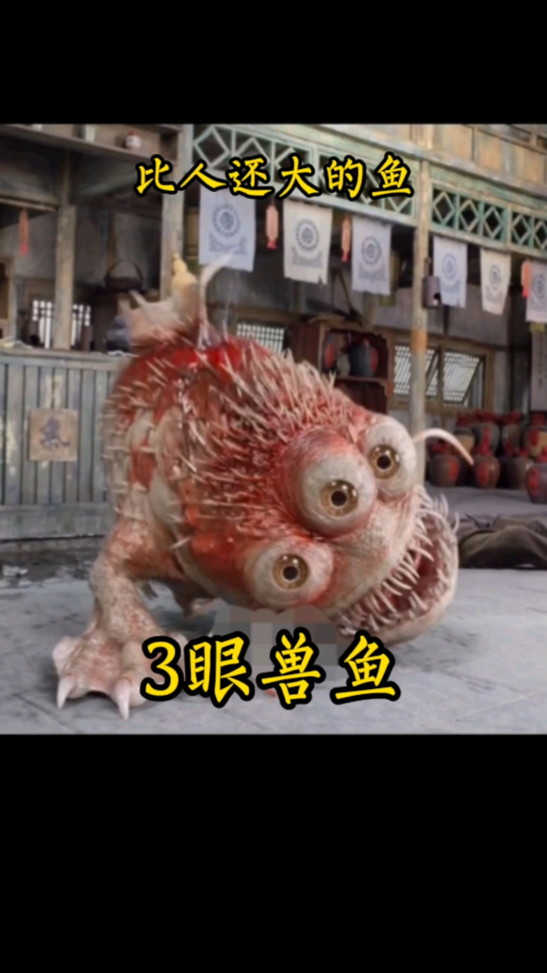 来感受3眼兽鱼的压迫感!