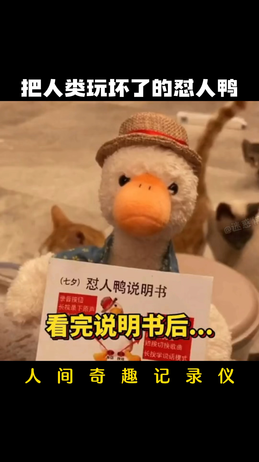 #搞笑段子剧#【人间奇趣记录仪】把人类玩坏了的怼人复读鸭。