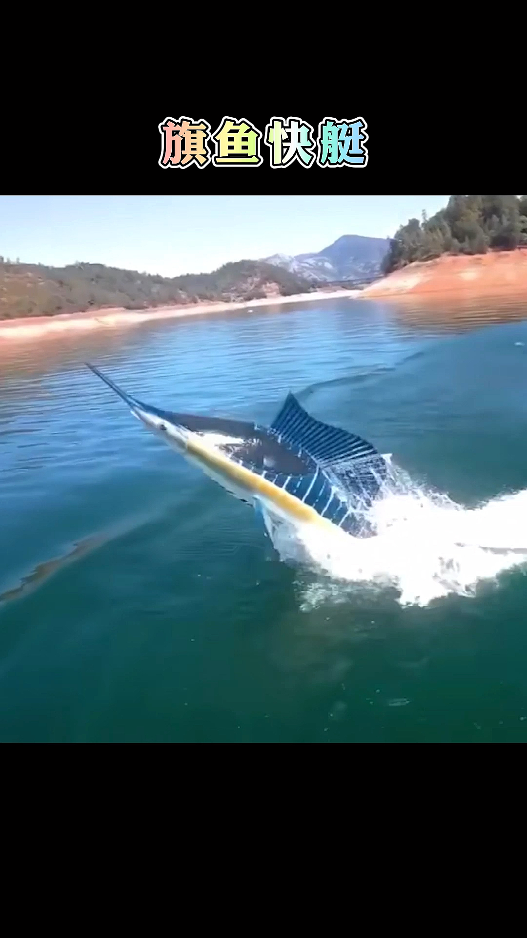 旗鱼快艇,气势如虹,多财多亿人家的玩意