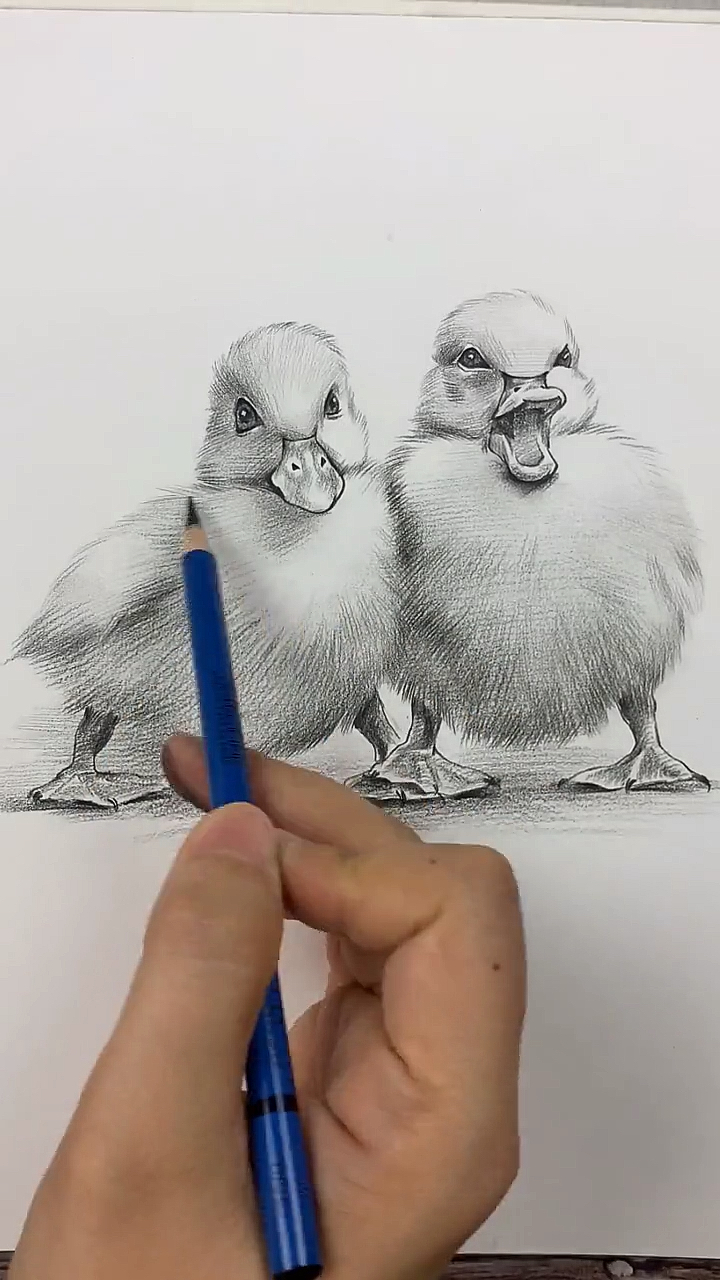 丑小鸭能变成白天鹅吗?