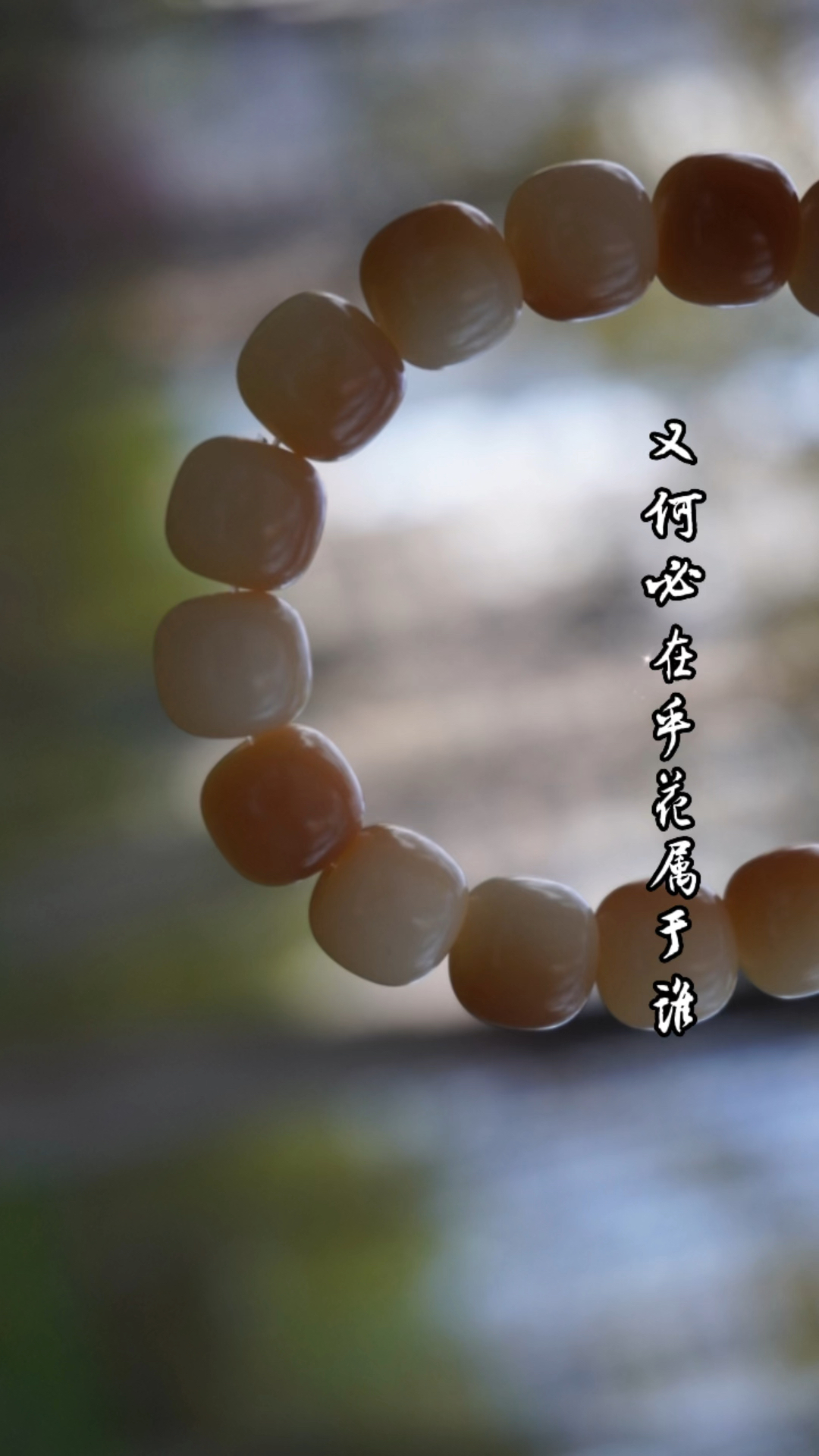 #文案#养花人一直在