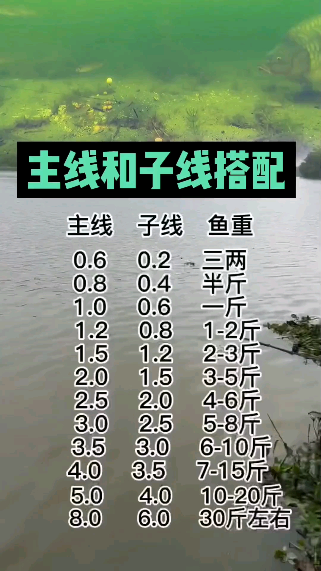 #钓鱼#钓鱼主线和子线这么搭配,遇到多大的鱼都不会切线