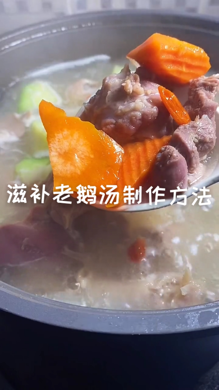 #破壳计划#家庭版滋补老鹅汤制作方法