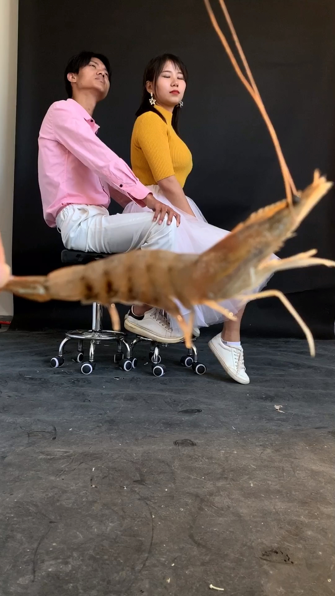 皮皮虾我们走