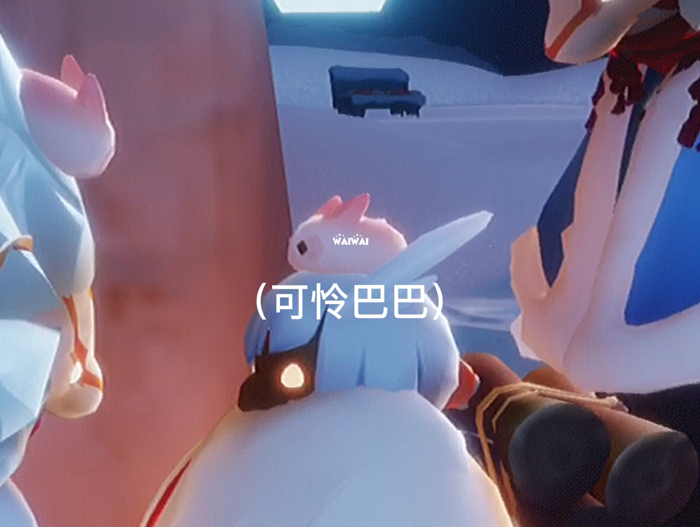 #光遇#崽崽们用小鱼干拐来的鸟崽子(1)