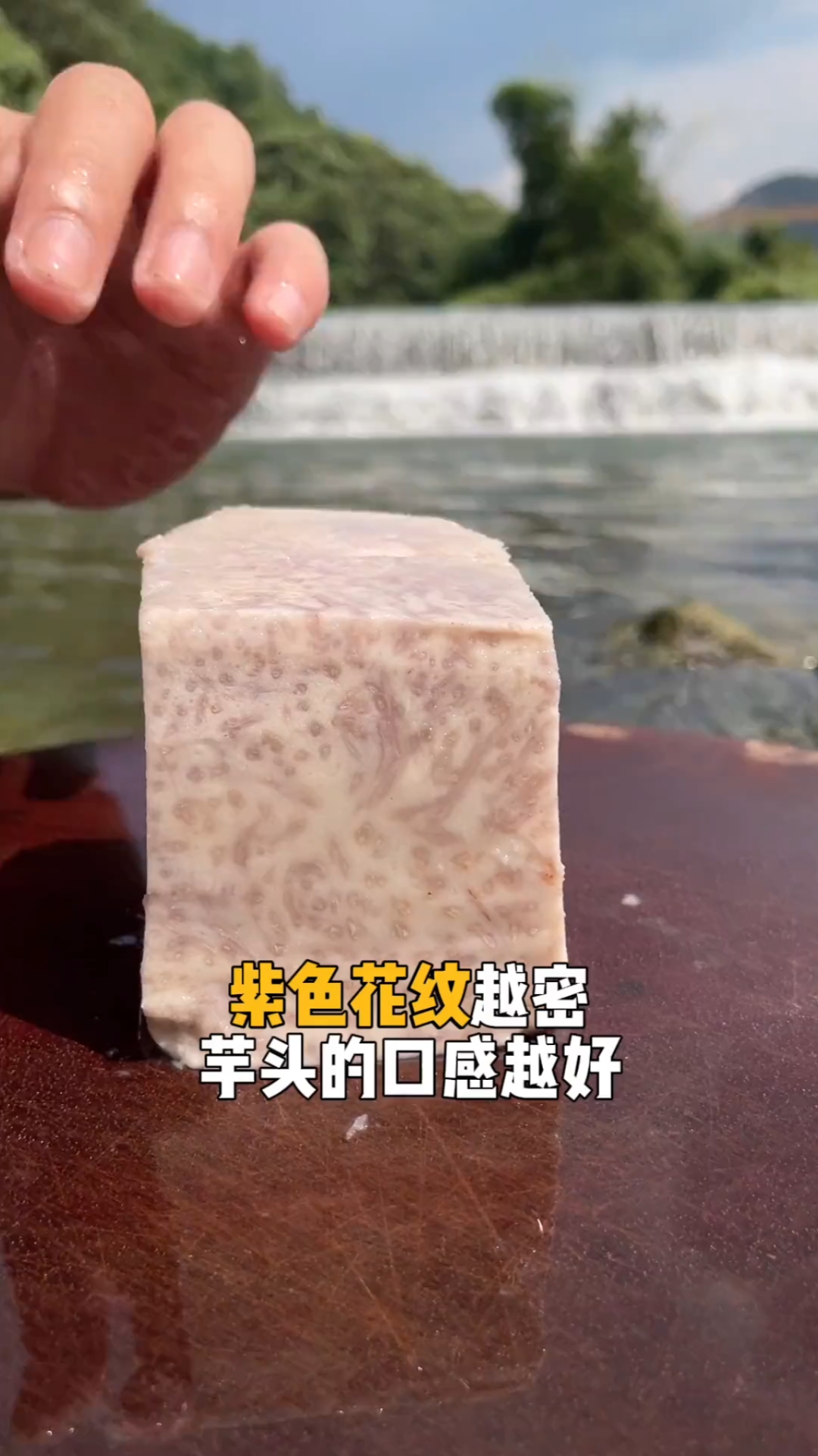 荔浦芋头做的奶茶喝过吗?入冬的第一杯“鲜芋热饮”妥妥安排上