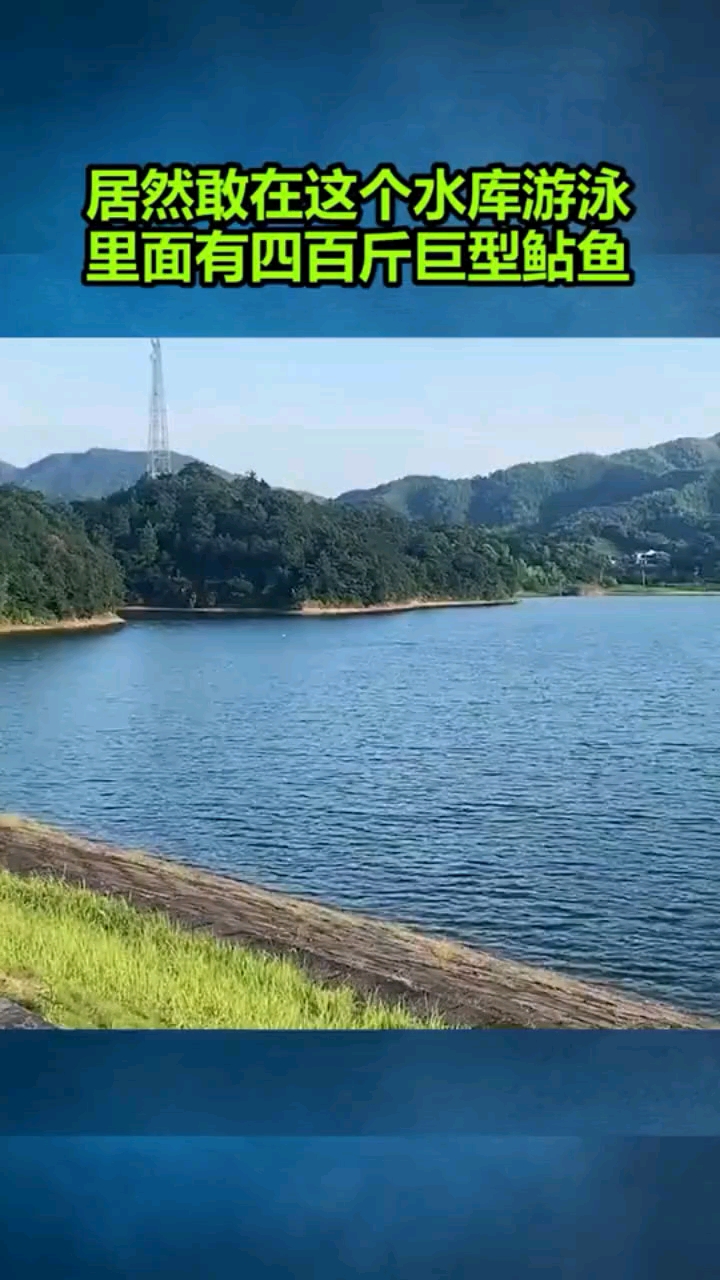 居然敢在这个水库游泳,里面有400斤巨型鲶鱼