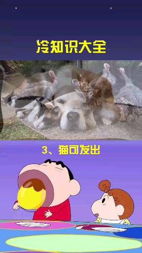 #每天一点冷知识#你不知道的冷知识,公的合掌螳螂为了下一代,付出了生命代价!