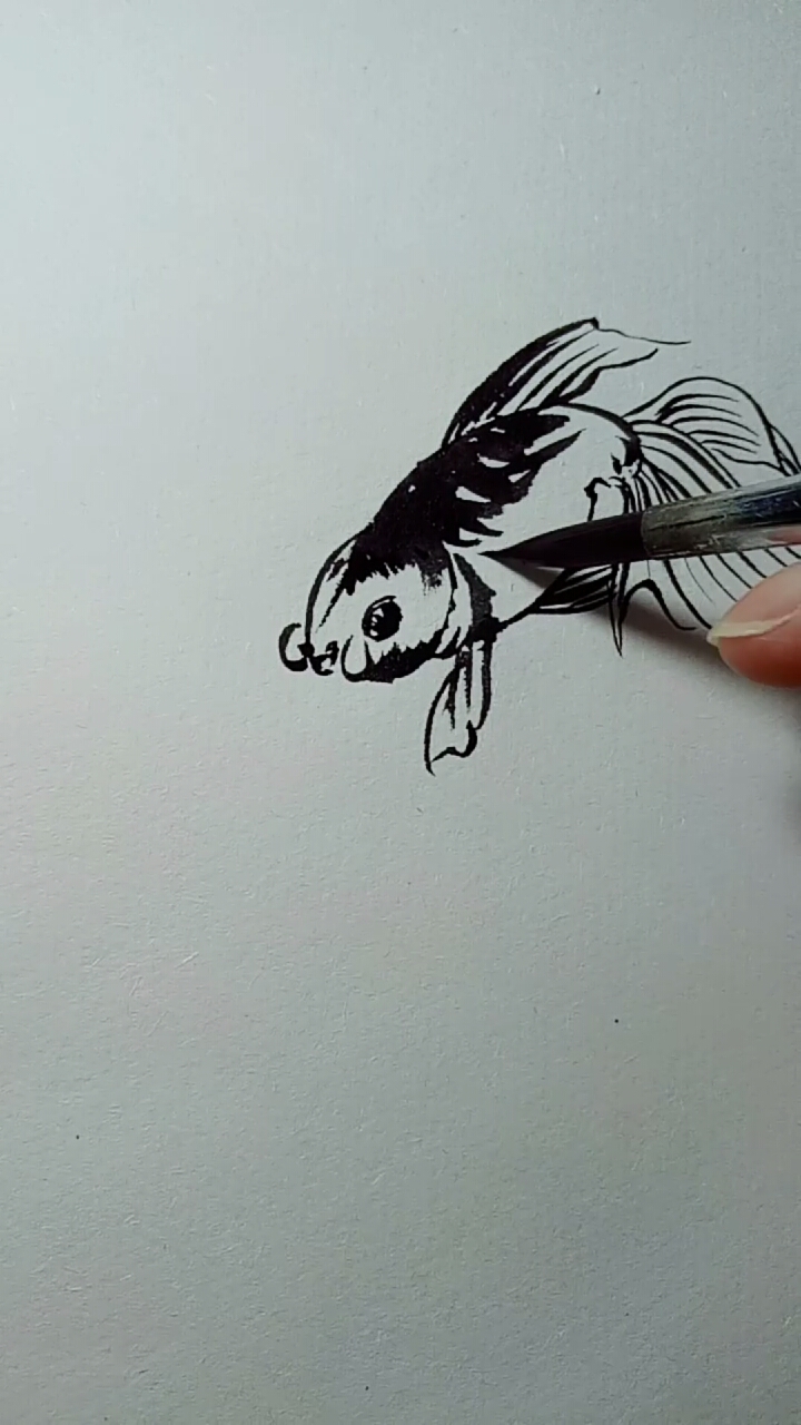 #一看就会的白描画#金鱼白描画法