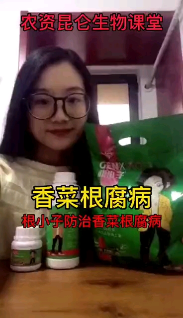 蔬菜根腐枯萎病喷什么药?香菜黄叶死苗烂根病如何处理?软腐烂根用什么药!