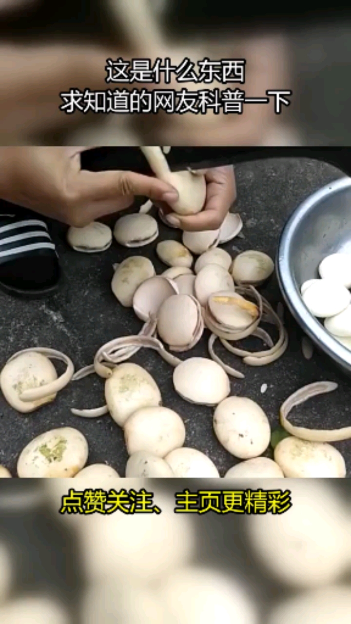 这是什么东西求知道的网友科普一下