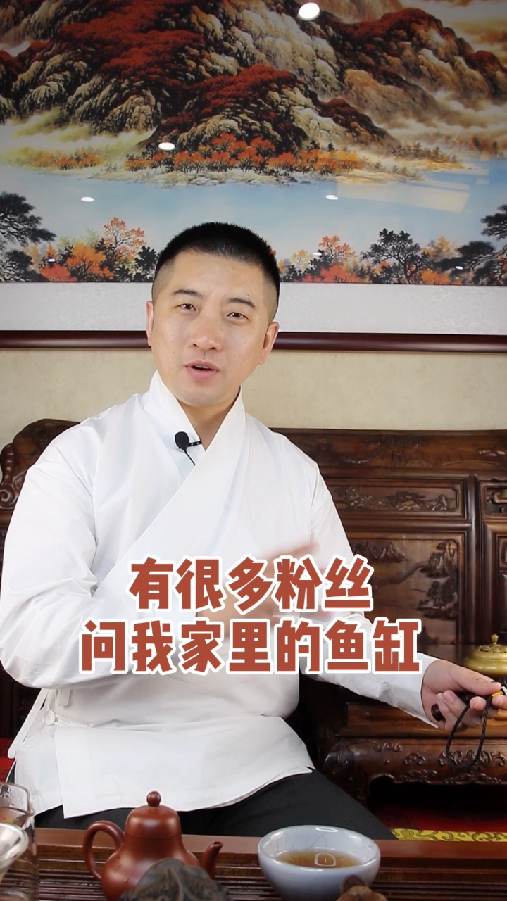 #风味人间#家里的鱼缸应该放在哪?