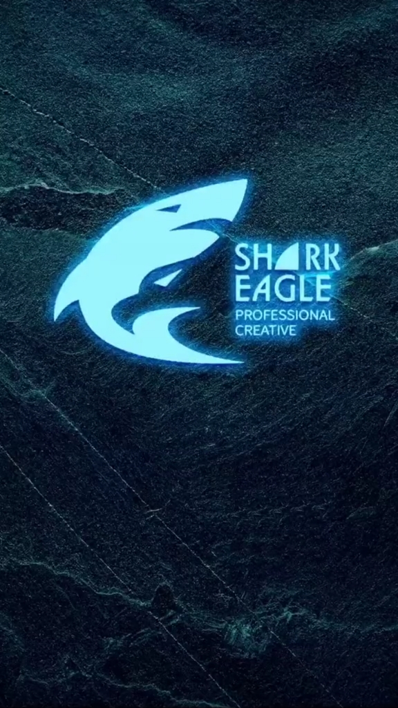 鲸鹰#logo#logo设计