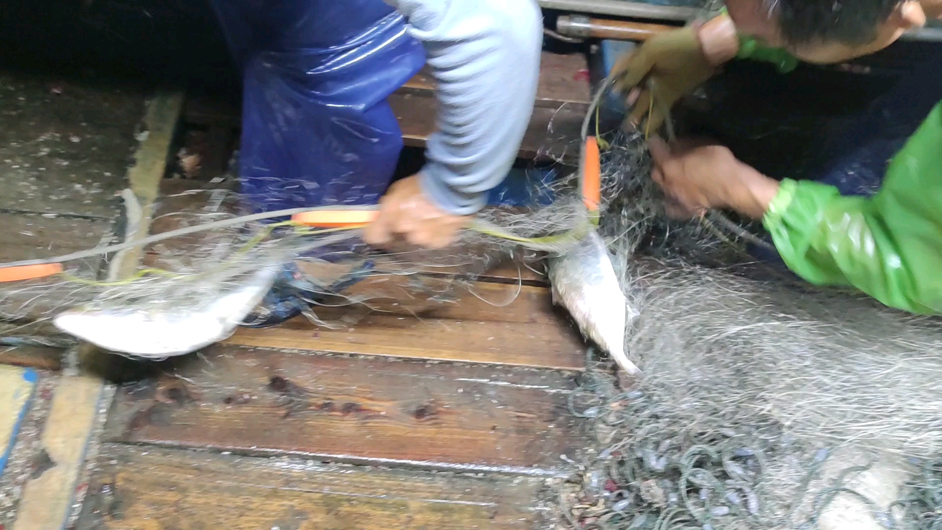 #南澳岛#南澳岛渔业资源还是不错的,连章红都是成群的来,简直是钓鱼圣地(上)