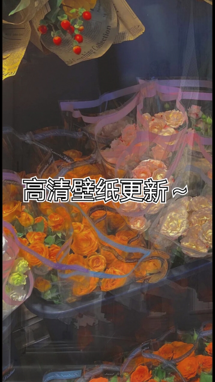 飞鸟与鱼的距离一个在天一个在水～