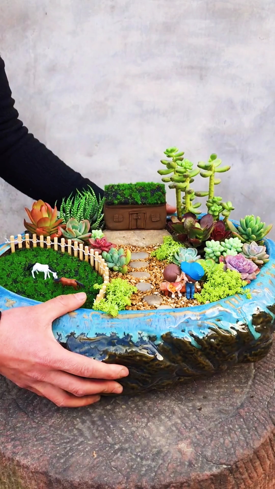 #微景观#多肉植物景观盆景