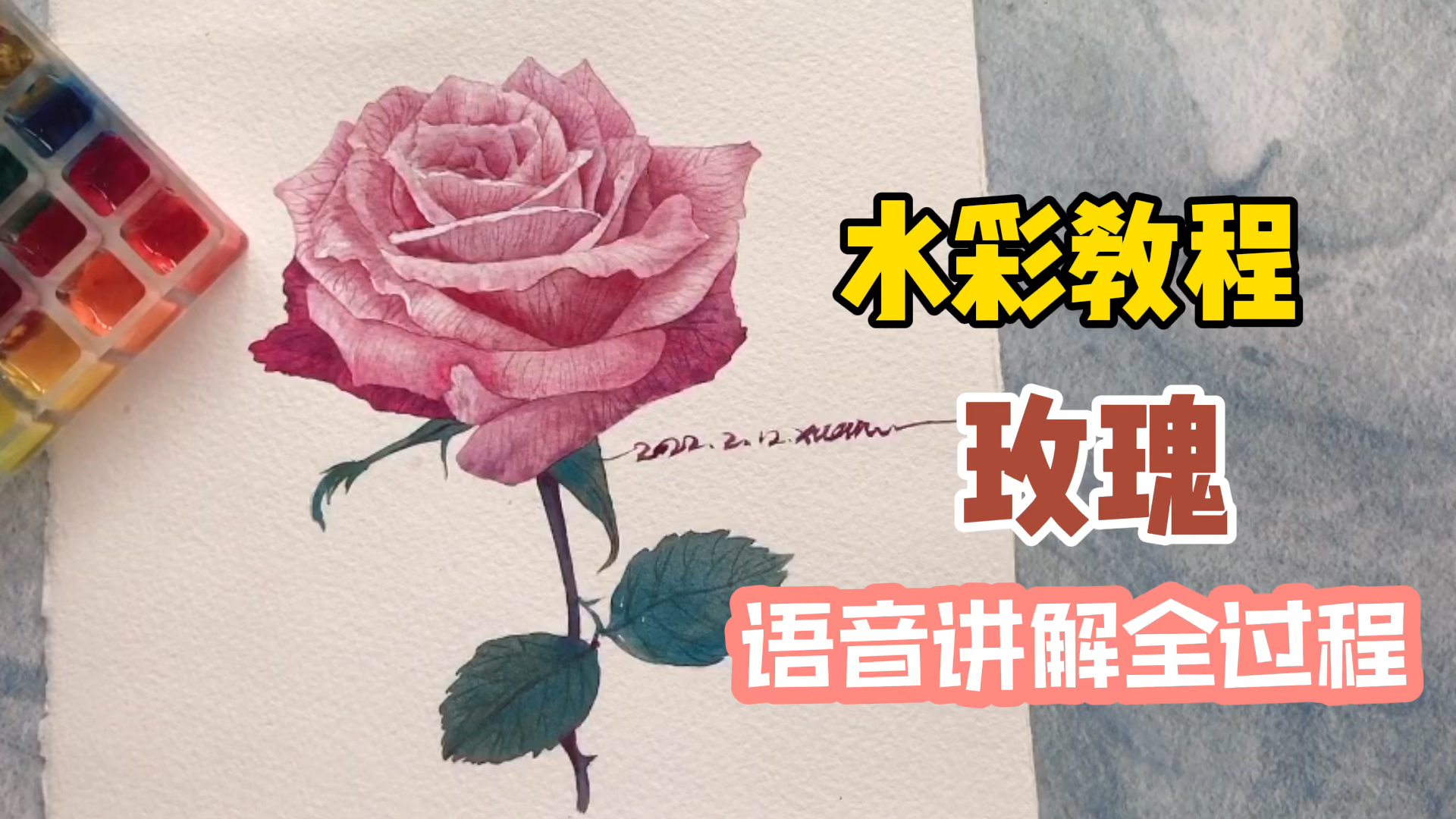 水彩教程|玫瑰的详细画法