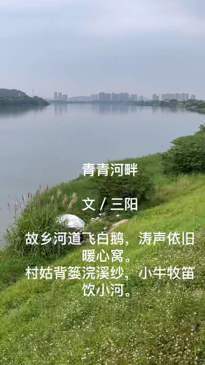 诗配画:青青河畔