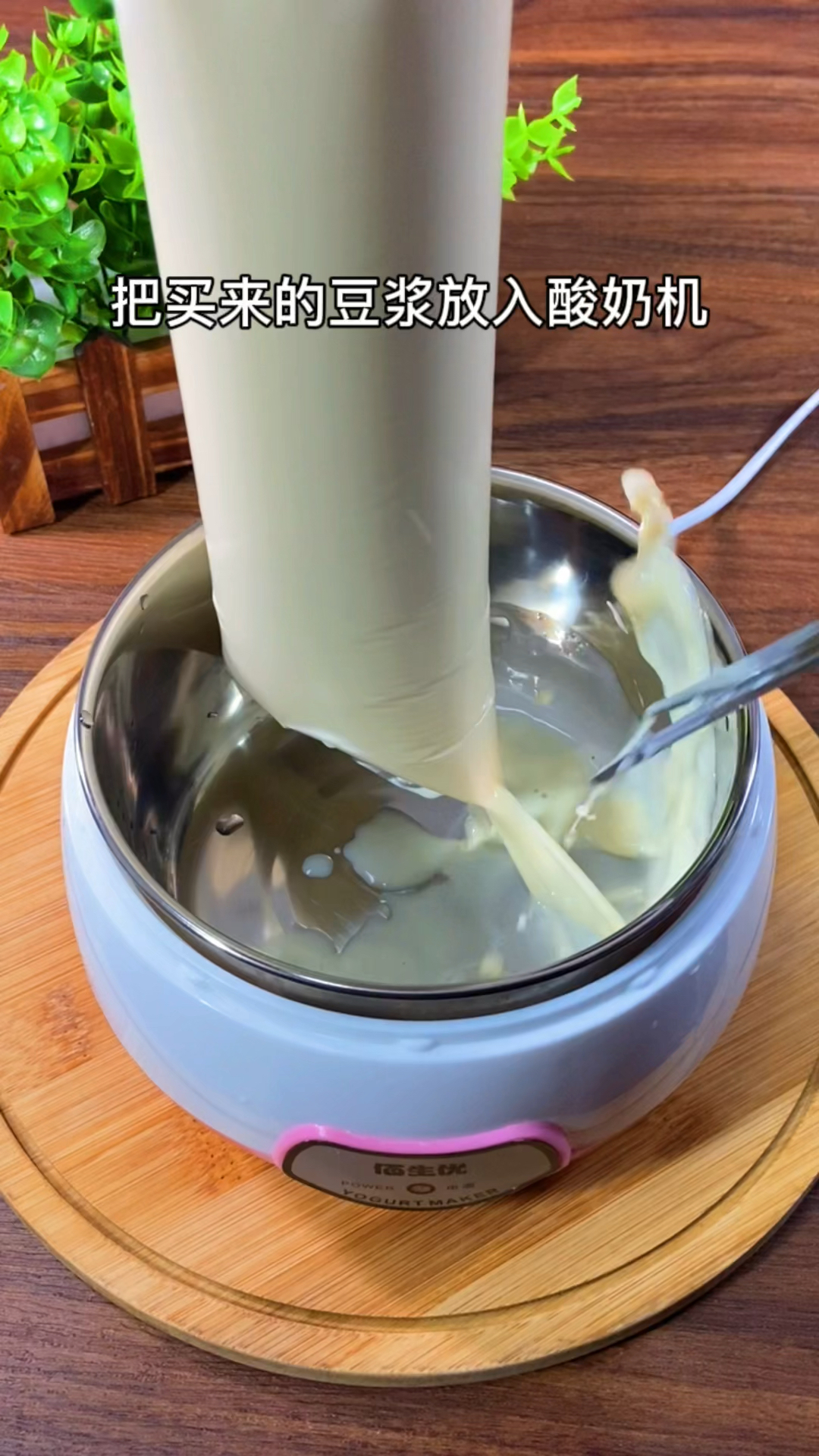 没有想到,用豆浆原来也可以做成豆浆味的酸奶,你吃过吗