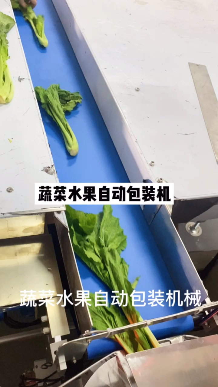 #包装机械#蔬菜水果自动包装机新鲜蔬果打包机