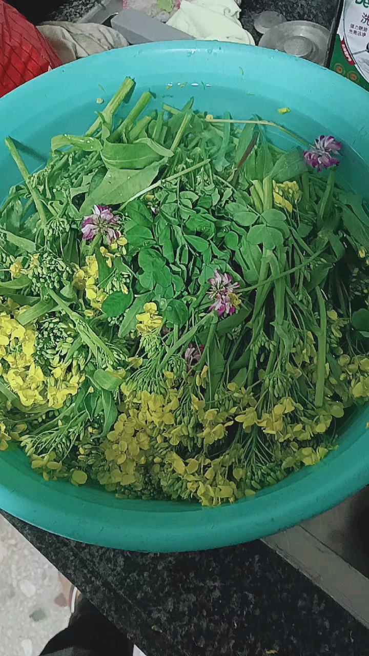 春暖花开,吃菜花,吃花生花,里面有那个花生树,那个花束对人体美容的多吃点