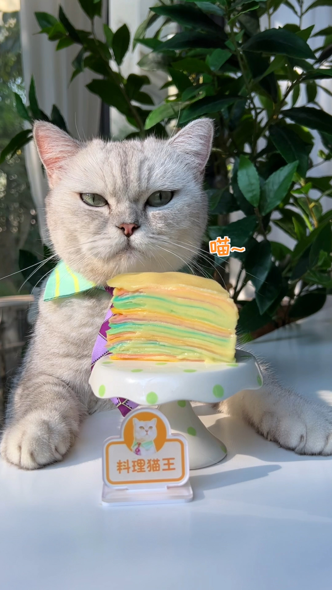 #美食记#猫王：纯榴莲果肉的彩虹榴莲千层真的太赞了！