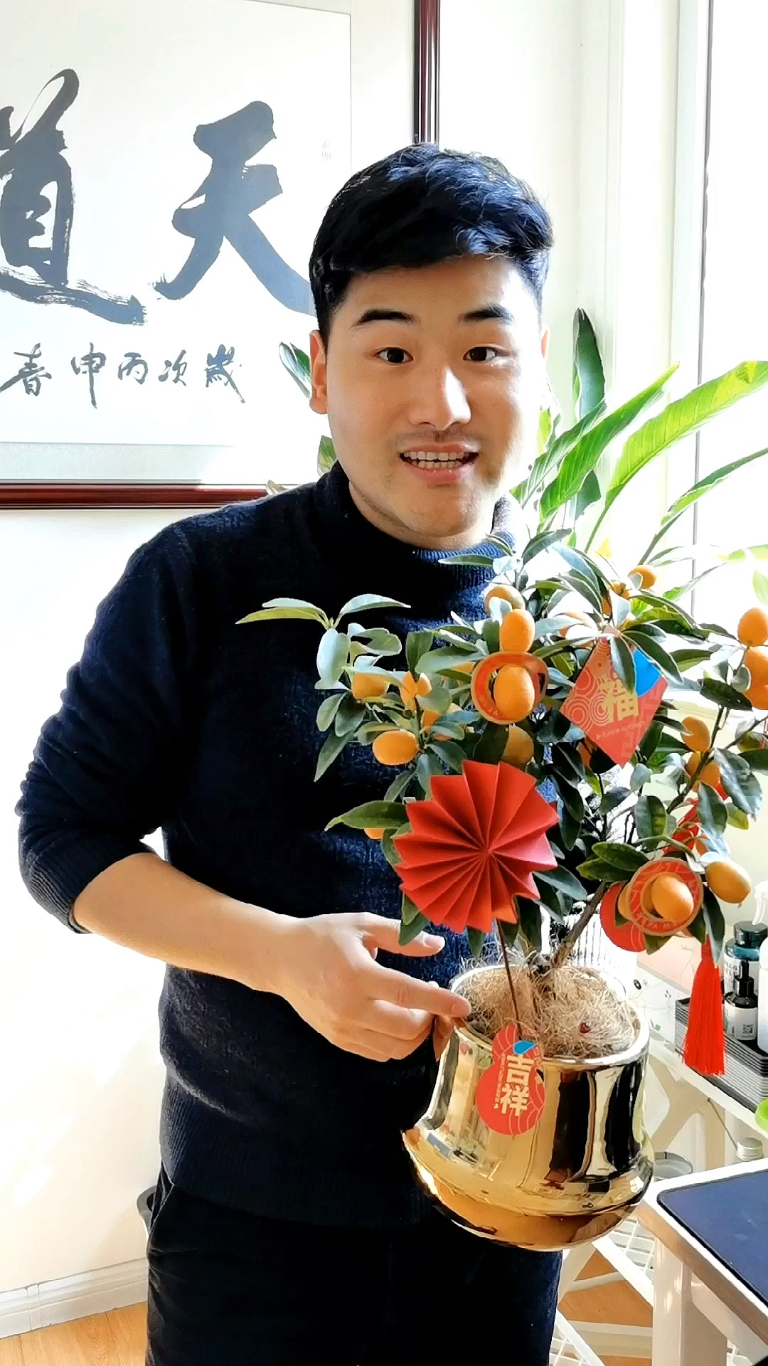 #分享养花经验#用各种年宵花装饰家里,是不是很有年味呢