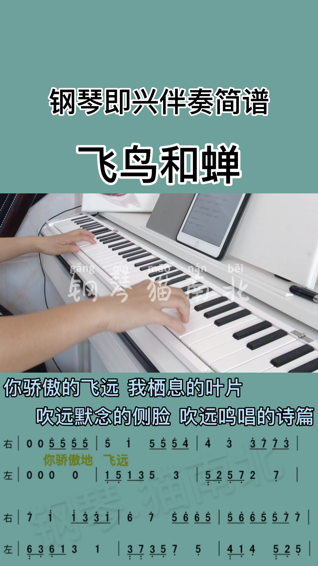 #钢琴#飞鸟和蝉