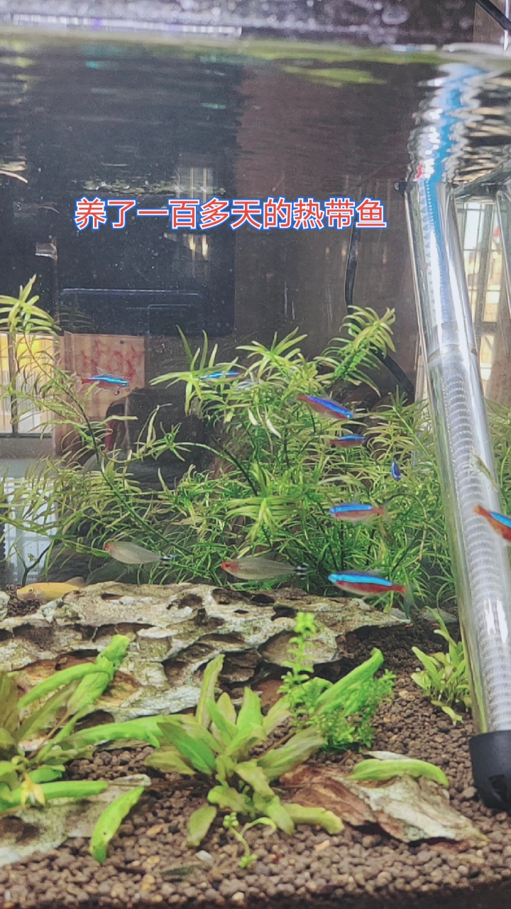 超靓超漂亮,不是吗?