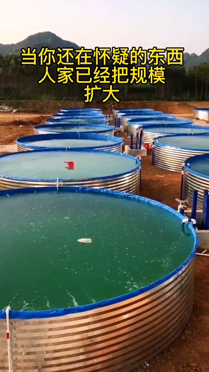 #高密度养鱼#50套帆布鱼池安装调试中,感兴趣的朋友欢迎实地考察合作!#路基养鱼#帆布鱼池