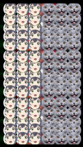 #动漫#奇怪的猫娘与猫相互欧拉,会诞生出什么奇怪的东西,答案是四个字